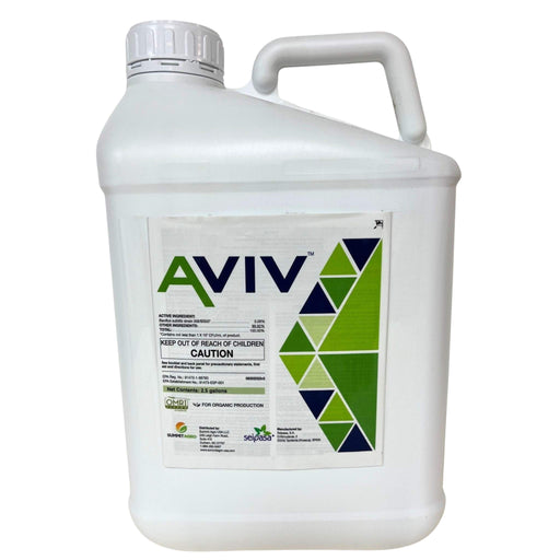 A white jug labeled "AVIV" on a white background.