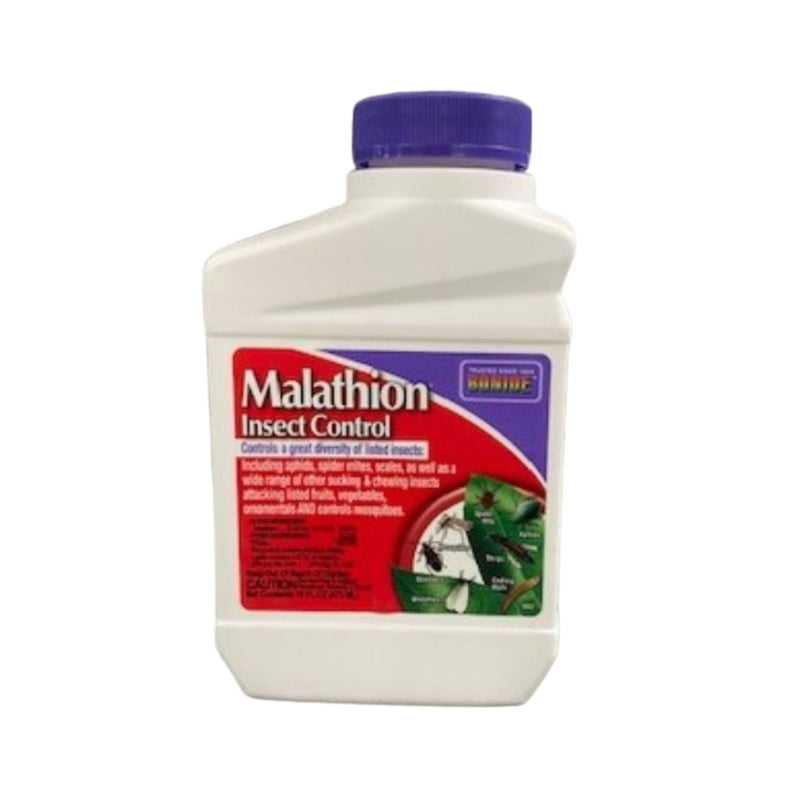 garden insect killer Malathion Insect Control Concentrate