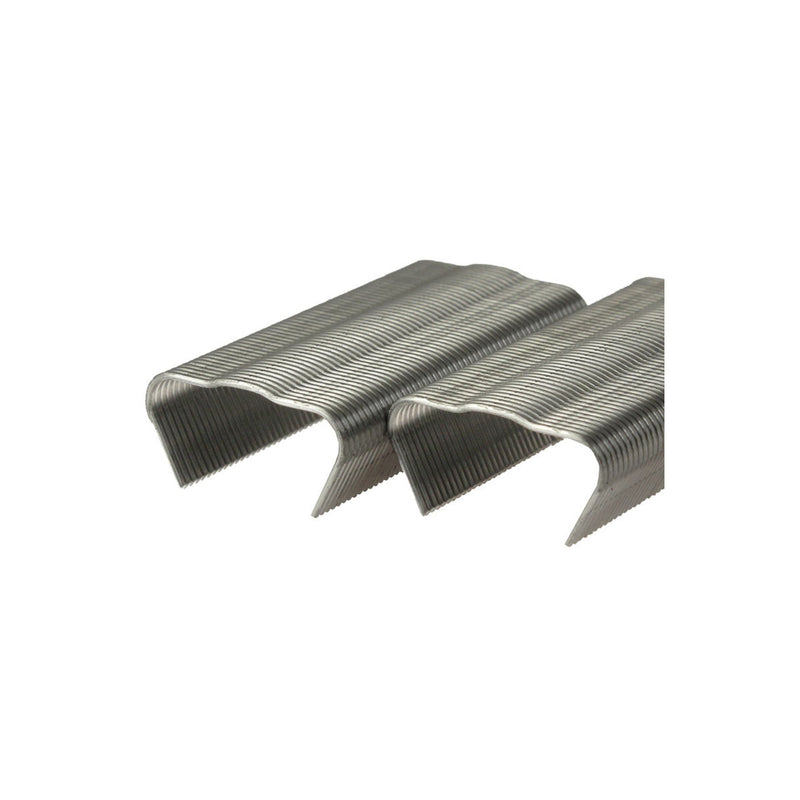 Rows of metal staples on a white background
