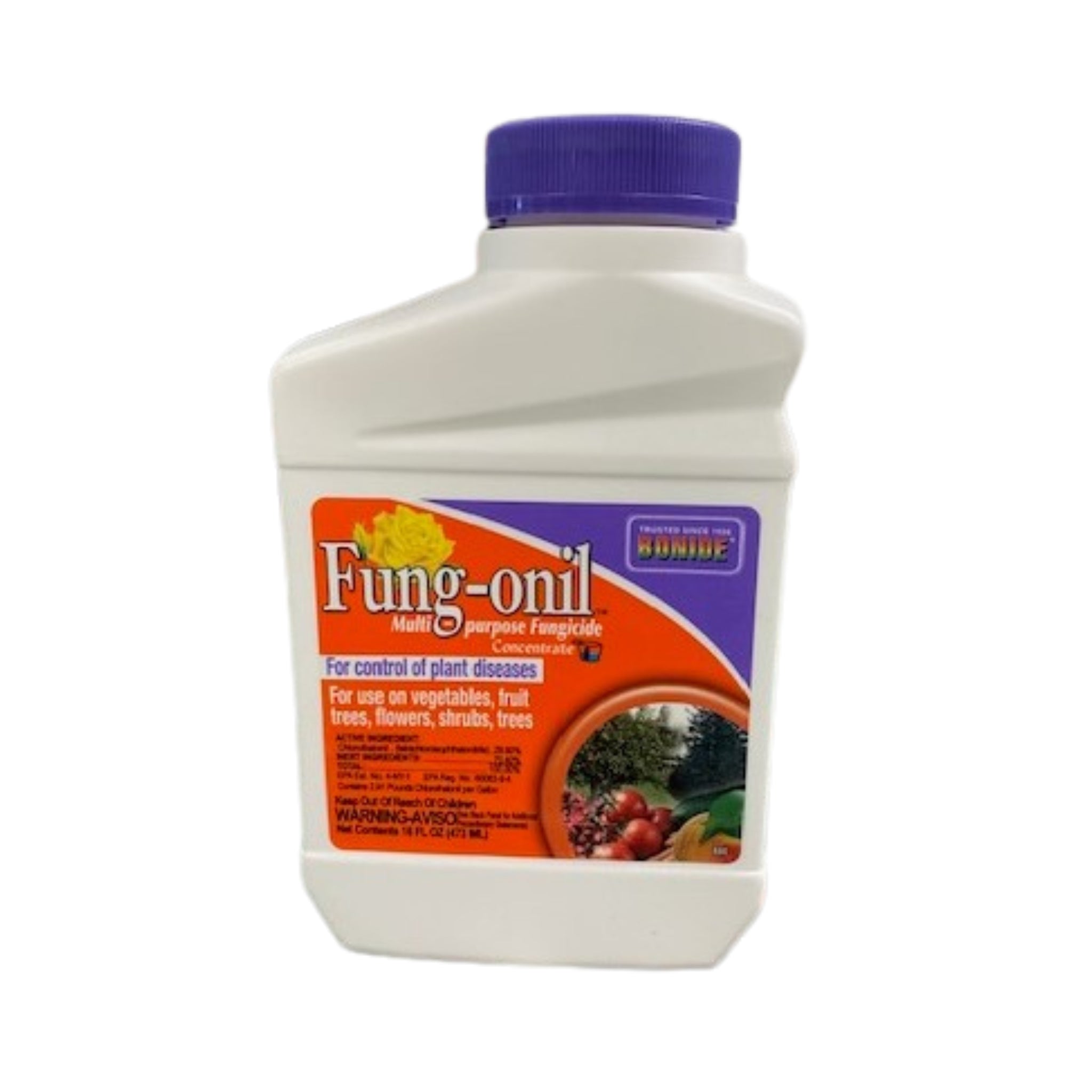 Bonide Fung-onil® Fungicide Concentrate | Garden Disease Control ...