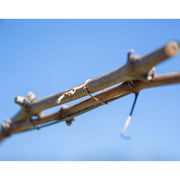 Close-up of a dried grape vine with a wire tie around it with a blue sky background