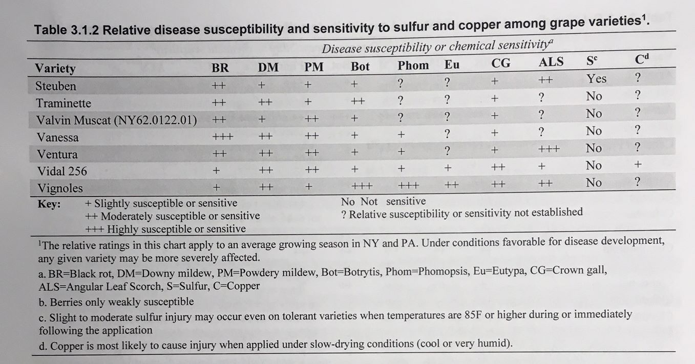 Disease Susceptibility and Sensitivity to Sulfur and Copper in Grapes